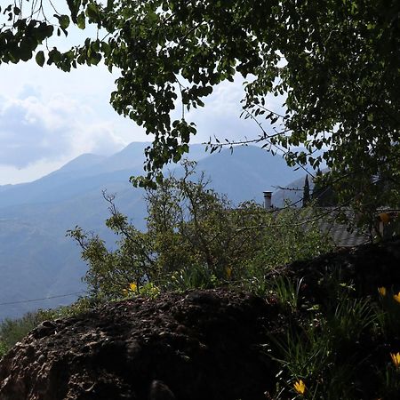 Μικρή Ζήρεια Ενοικιαζόμενη Κατοικία Synikia Mesi Trikalon Eksteriør billede