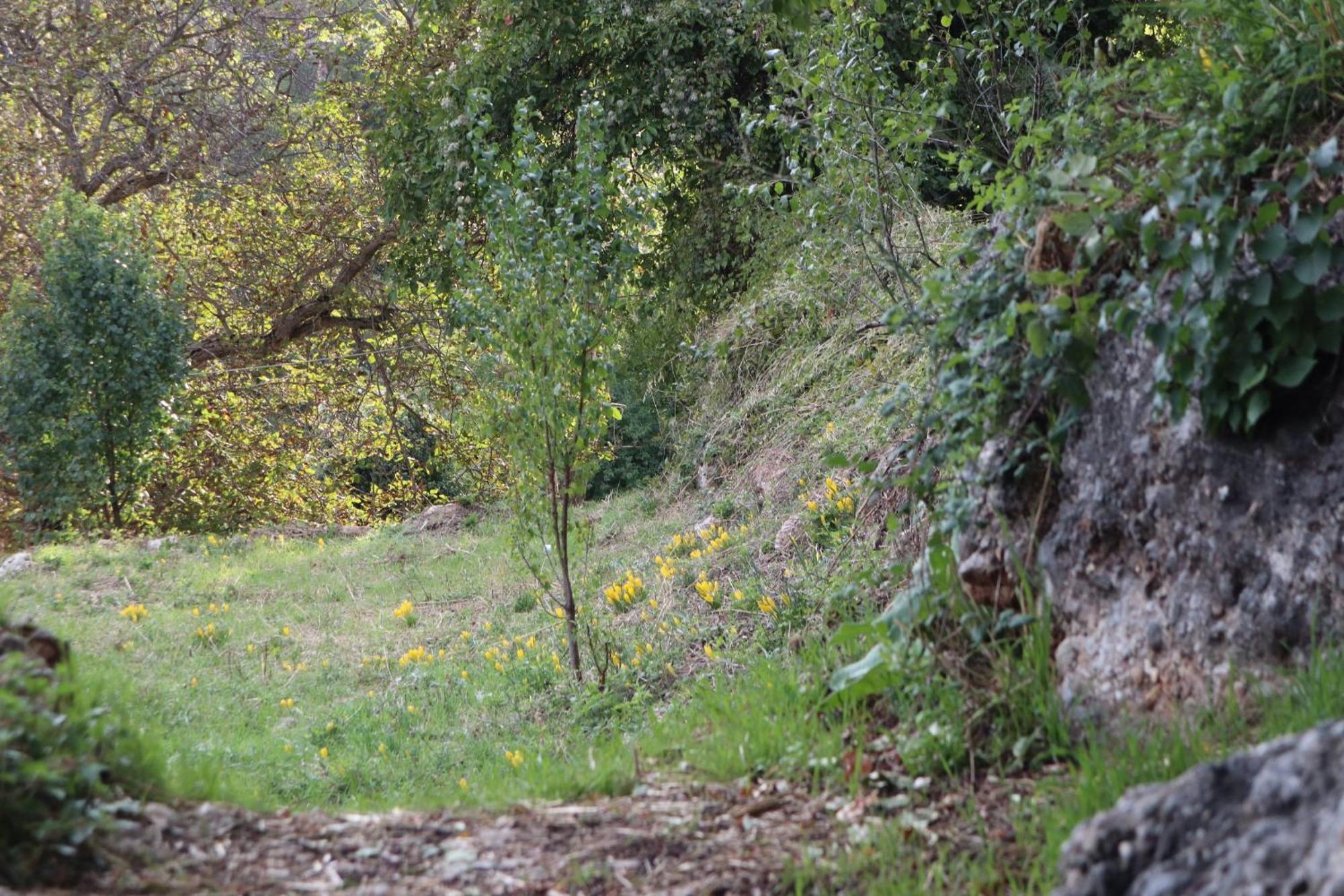 Μικρή Ζήρεια Ενοικιαζόμενη Κατοικία Synikia Mesi Trikalon Eksteriør billede